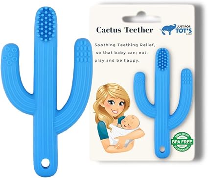 teething cactus