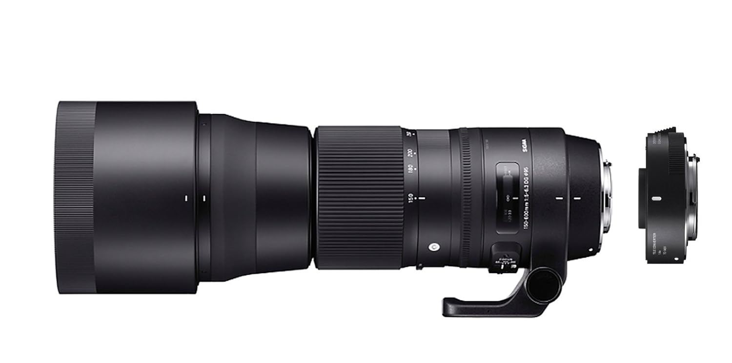 Buy Sigma 150 600mm F5 6 3 Contemporary Dg Os Hsm Tc 1401 For Canon Online At Low Price In India Sigma Camera Reviews Ratings Amazon In