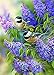 Chickadee Duo 35 Piece Sequenced Jigsaw Puzzle for Dementia and Alzheimer's