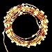 Kohree 120 LEDs Battery Operated String Light 20ft Copper Wire, Waterproof Design Decor Rope Lights for Festival, Christmas, Wedding, Holiday and Party with Remote Control, Warm White