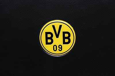 Bundesliga Koffer Test