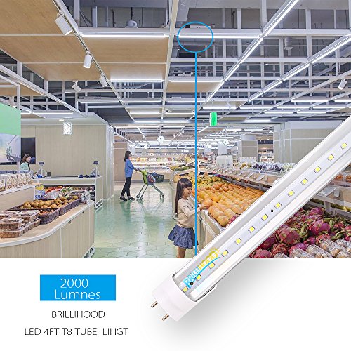 Brillihood T8 LED Shop Light Tube, 4FT, 18w (40W Equivalent), Dual-End Powered, 4000K Natural White, 2000 Lumens, Clear Cover Lens, T8 T10 T12 Fluorescent Bulbs Replacement (10-Pack)