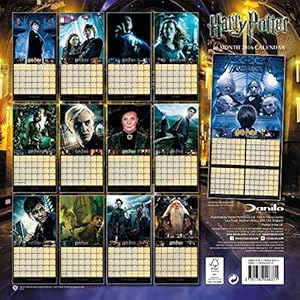 The Official Harry Potter 2016 Square Calendar