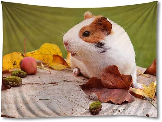 Amazon Com Ellostorka Guinea Pig Rodent Foliage Autumn Animals