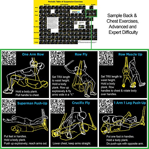 image for Stack 52 Suspension Exercise Poster: Periodic Table of Suspension Exer