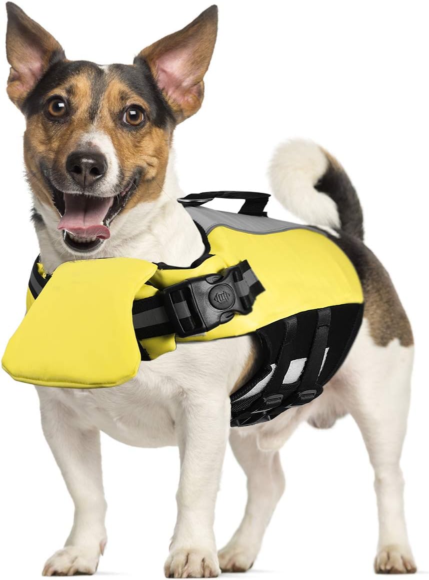 small dog life vest
