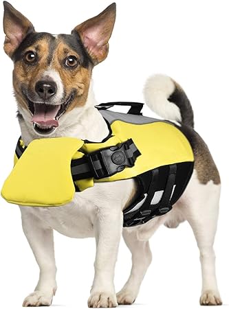 large dog life vest