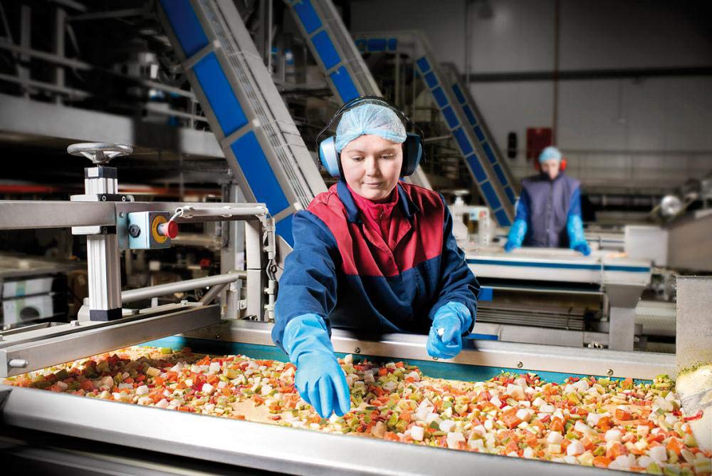 ANSELL VERSATOUCH 37-210 GLOVE SZ 10 (XL)