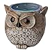 ANTS Speaker Stand Case Compatible Amazon Echo Dot (2nd or 1st Generation). Alexa Echo Dots Owl Statue Crafted Guard Station （Brown）