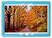 Bobj Rugged Case for Samsung Galaxy Tab S 10.5 Tablet Models SM-T800, SM-T805, SM-T807 - BobjGear Custom Fit - Patented Venting - Sound Amplification - BobjBounces Kid Friendly (Terrific Turquoise)