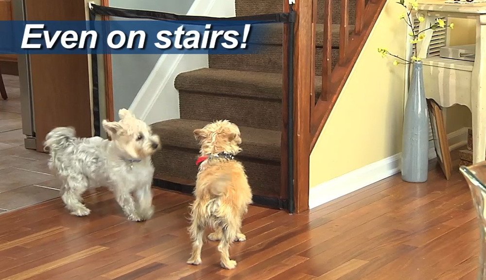 2018 dog gate the ingenious mesh