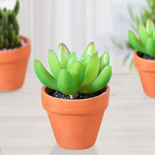 Pot De Fleurs Succulent Pour Creche Bestonzon Lot De 20 Mini Pots En Terre Cuite 1 2 Cm En Ceramique Pour Cactus Les Cadeaux De Mariage Les Travaux Manuels Ideal Pour Les Plantes