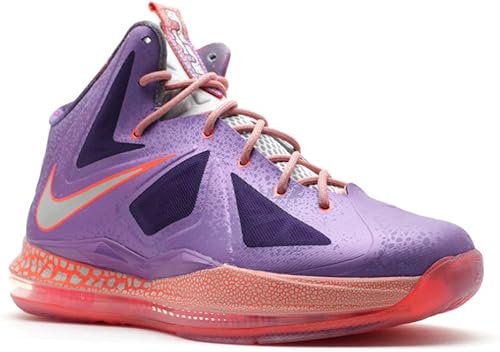 lebron 10 gs