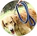 Olivery Heavy Duty Dog Martingale Braided Collar with Solid Hand Crafted Leash (Blue, Large)
