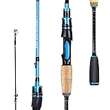 Sougayilang Fishing Pole, 2PC Spinning Rod with EVA