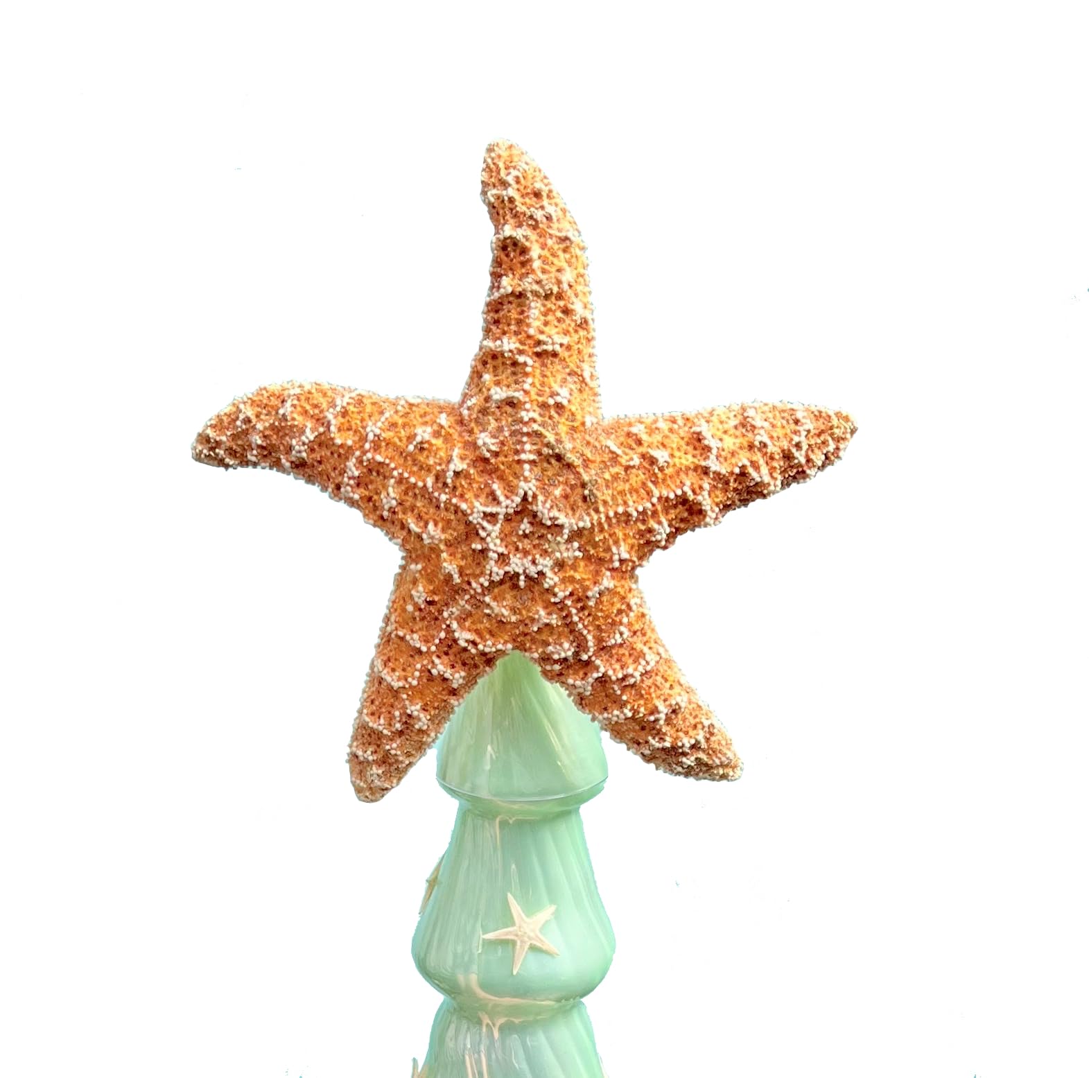 Photo 1 of Starfish Tree Topper - Real Starfish - Coastal and Beach Style Christmas Decoration Beach Coastal Decor