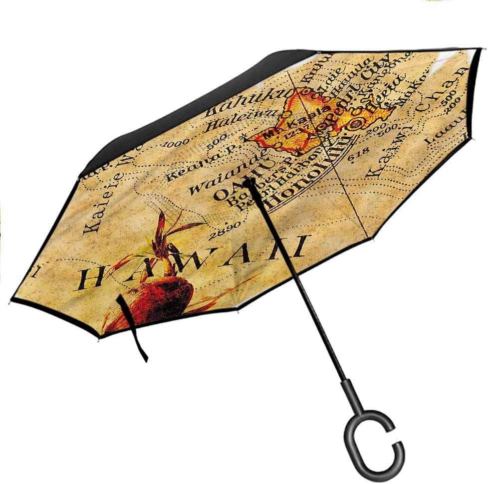 Kgblfd Vintage Hawaii Windproof Umbrella, Honolulu Oahu