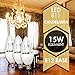 TCP 15W Equivalent LED Decorative Torpedo Candelabra Base Light Bulbs, Non-Dimmable, Daylight (6 Pack)