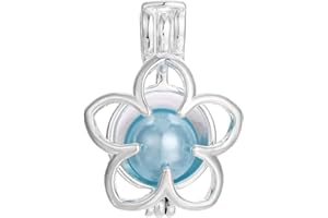 Vie jeune 10pcs Pearl Cage Bright Silver Beads Cage Locket Pendant Jewelry Making-For Oyster Pearls, Essential Oil Diffuser, 