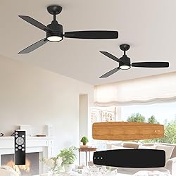 TALOYA 52 Inch Ceiling Fans with Lights Led Remote