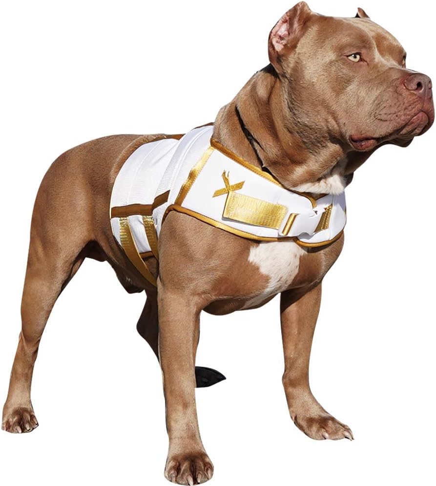 XDOG Weight \u0026 Fitness Vest for Dogs 