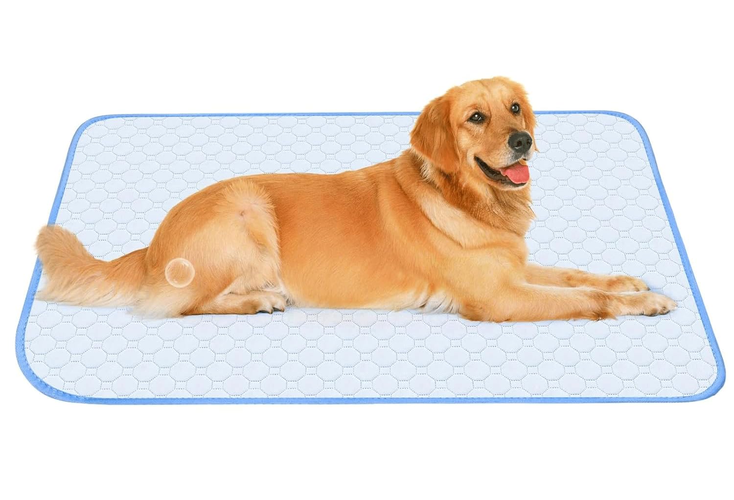 Karii Large Ice Silk Cooling Mat for Dogs, Reusable Washable Pet Cool Pad for Cats and Puppys Leak-Proof Non-Slip Pee Pad for Bed Sofa Crate Cage Nest Car (100x65cm | Blue)