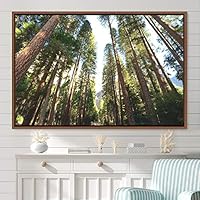 Framed Canvas Wall Art Rustic Woods Brown Dark Dramatic Forest Group Nature Photography Realism - 16x24 inches