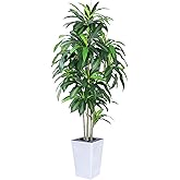 Artificial Dracaena Tree with White Tall Planter, 7ft Tall Potted Artificial Dracaena Silk Plant, Fake Yucca Tree Plant, Home Office Floor Room Decor Plants Indoor Outdoor, Housewarming Gift