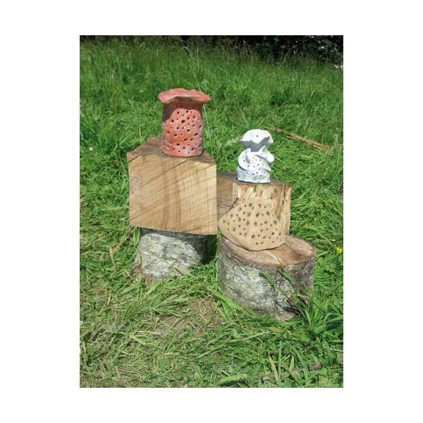 Mit Kindern im Bienengarten – Bild 5