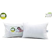 Recron Certified Microfibre Pillow