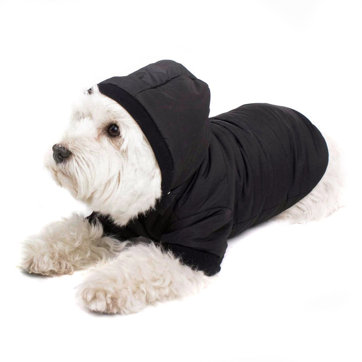 Black Dog Coat with Hood; Chic Dog Jacket Dog Anorak for Your Dog (M (33 cm))