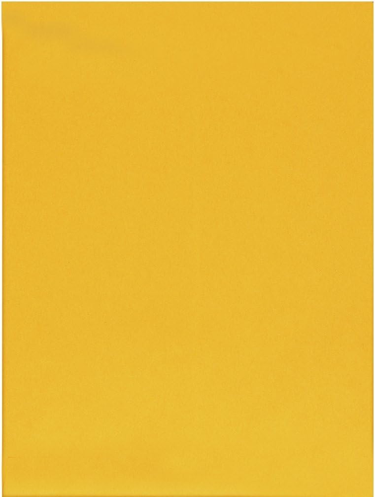 Columbian Clasp Envelopes, 10 x 13 Inches, Brown Kraft, 100 Per Box (CO797) : Manila Envelopes : Office Products