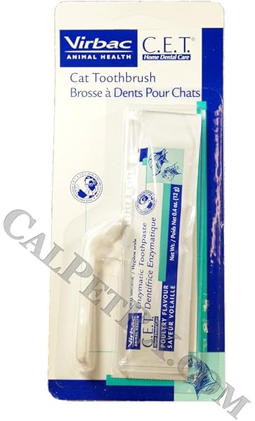 cat toothbrush australia