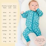 Bramble & Bear Unisex Baby Sleepsuits 2 Pack Tawny Teal 9-12 Months UK view 5