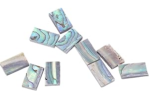 CHIWE Abalone Shell Inlay, 10Pcs Nature Guitars Inlay Material Colourful for Mosaic Art for Jewelry Design