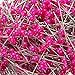 KINGSO 800pcs Round Pearl Head Dressmaking Pins Weddings Corsage Florists Sewing Pin Rose Red