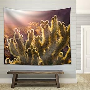 Closeup of Cactus at Sunlight - Fabric Wall Tapestry Home Decor - 51x60 inches