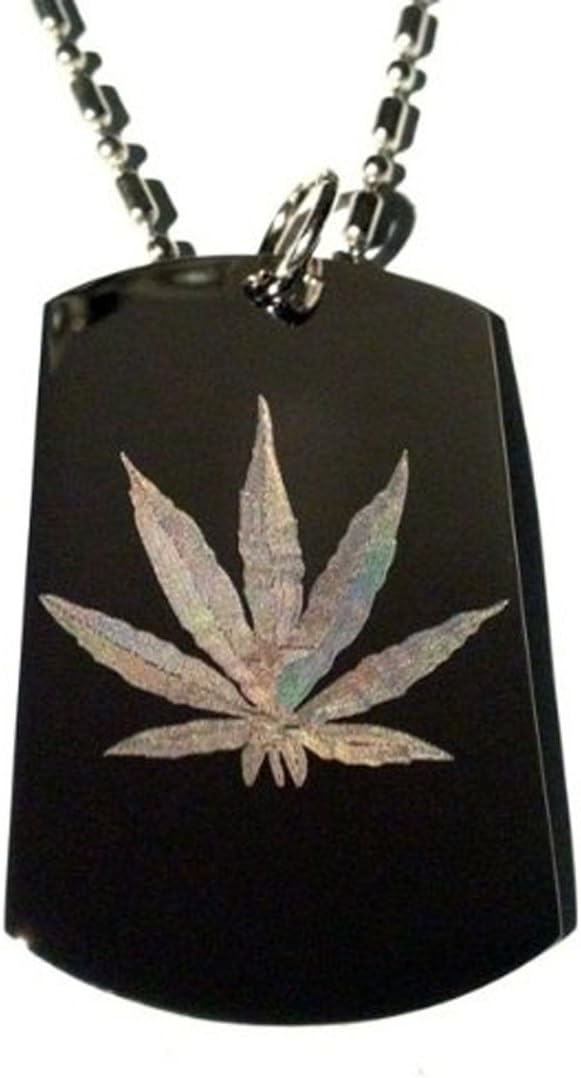 easy leash training dog