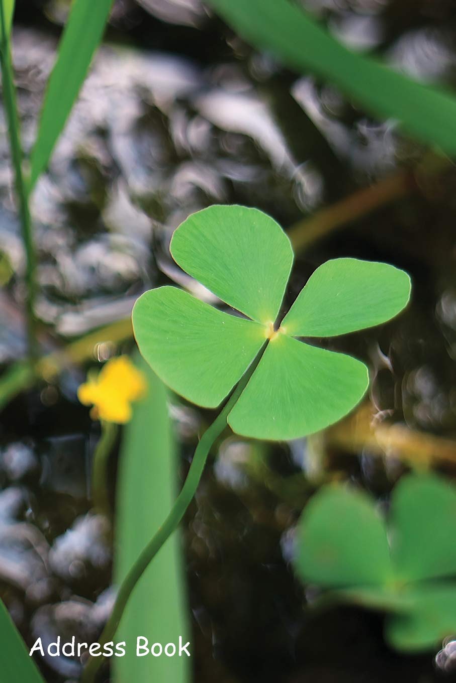 Address Book: For Contacts, Addresses, Phone, Email, Note,Emergency Contacts,Alphabetical Index With Pair of four leaf clover fern plants
