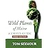 Amazon Com Wild Plants Of Maine A Useful Guide