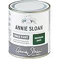 Annie Sloan Chalk Paint® for furniture with no sanding or priming (Amsterdam Green, 500 ml/16.9 Fl Oz)