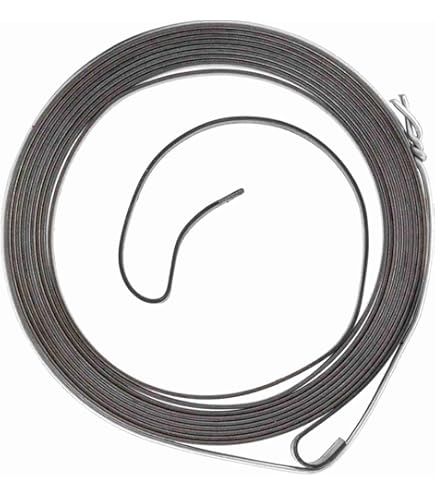 Genuine OEM Briggs & Stratton Governor Spring #796484 – New, Quantity 1