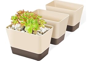 SUREAM Succulent Pots with Tray, 3 Pack 6 x3.8 Inch Herb Window Boxes Office Cactus Planters Plastic Rectangle Plants Containers with Saucer for Windowsill, Garden Balcony, Porch