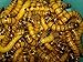 500 Live Superworms