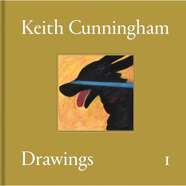 Selected Drawings James Jarvis: James Jarvis: 9780955219023