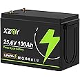 XZNY Compact 24V 100Ah Lithium Battery, 5000+ Cycles 24V 100Ah LiFePO4 Battery, Built-in 100A Low Temperature Protection BMS, Great for RV/Camper, Trolling Motors, Solar Off-Grid, Marine/Boat