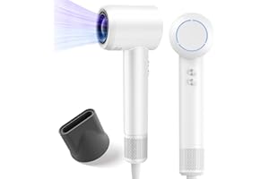 PLUZZ Hair Dryer, Ionic High-Speed Blow Dryer for Fast Drying with Brushless Motor, Portable Professional Hair Dryers with Magnetic Concentrator, Quiet Compact Hairdryer for Women & Men, Travel/Home/Salon