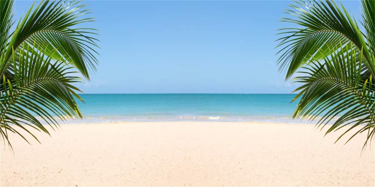 LFEEY 20x10ft Beach Photography Studio Backdrop Island Seaside Palmtree Background Vacation Blue Sky