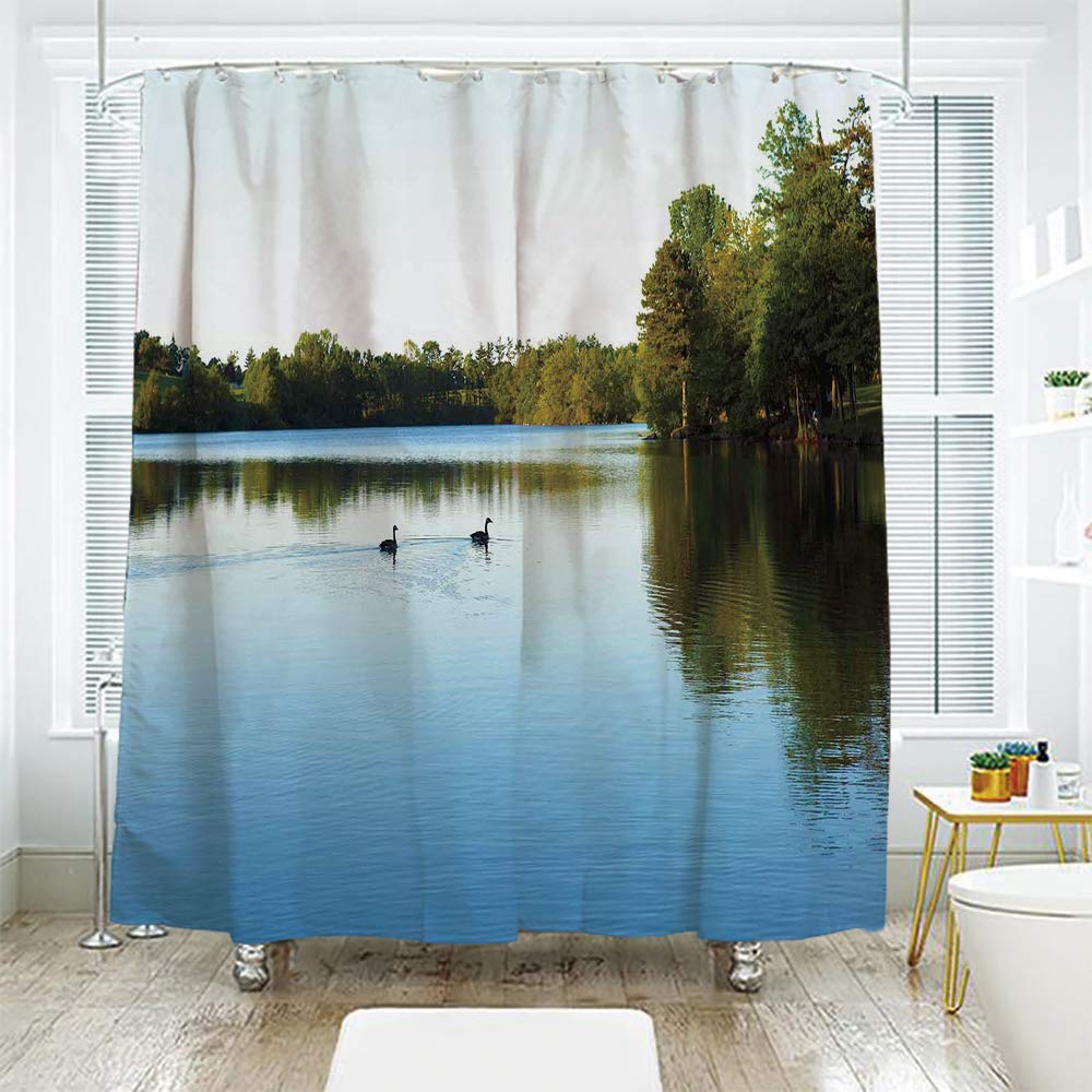 Decorative Shower Curtain Hooks Shower Curtains Hooks Liners