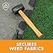 EasyFlex Heavy-Duty No-Dig Landscape Edging with Anchoring Spikes, 1.7 in. Tall Straight Top Commercial Grade Plastic Garden Border, Pack of (8) 20' Coils, Black (3100-20C-8) 160 Foot